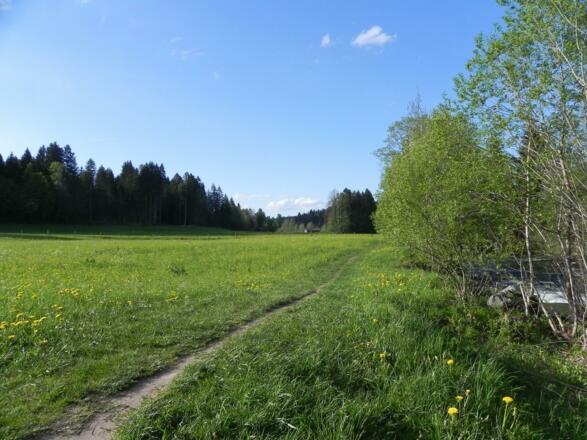 Pfad entlang der Leitzach