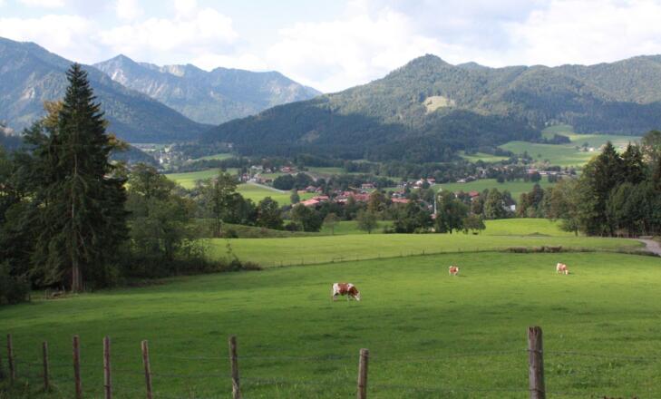 Aussichten Almwiesen