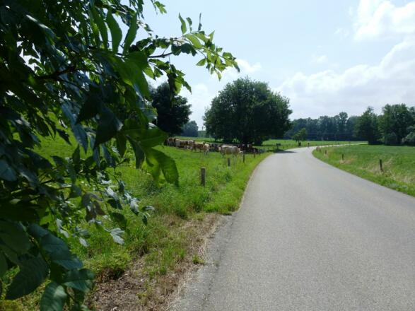 nach Unterschwillach