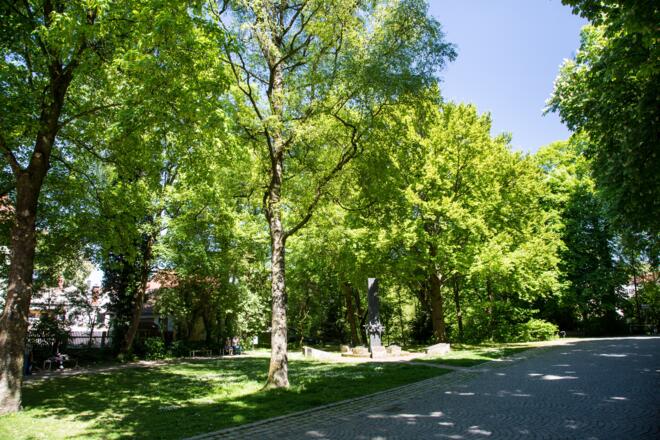Start Ziel Grüner Markt