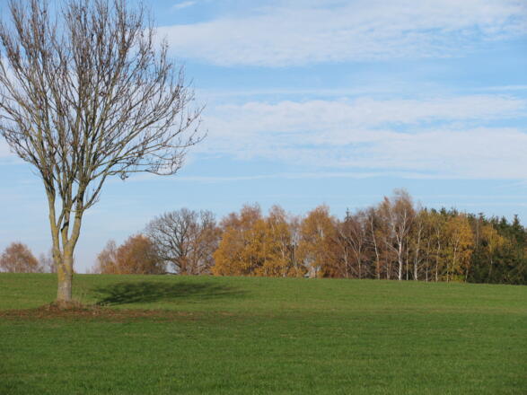Herbstlandschaft