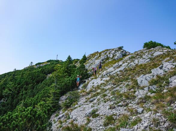 Abstieg vom Aiplspitz über die Südostseite