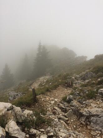 Vom Birkenstein auf Zustieg.