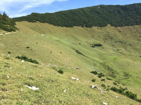 Bewaldeter Nordkamm zum Jägerkamp, mit Gipfelkreuz