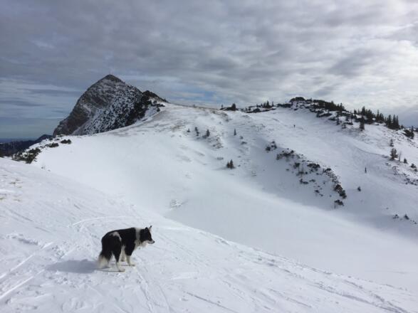 Benzingsattel mit Blick auf die Aiplspitz. Hier geht es rechts hinunter.