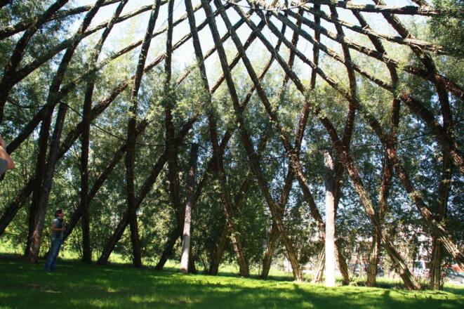 Weidenhain Taufkirchen (Vils)