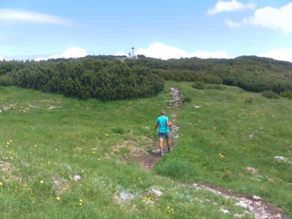 Hochmiesing Gipfelkuppe