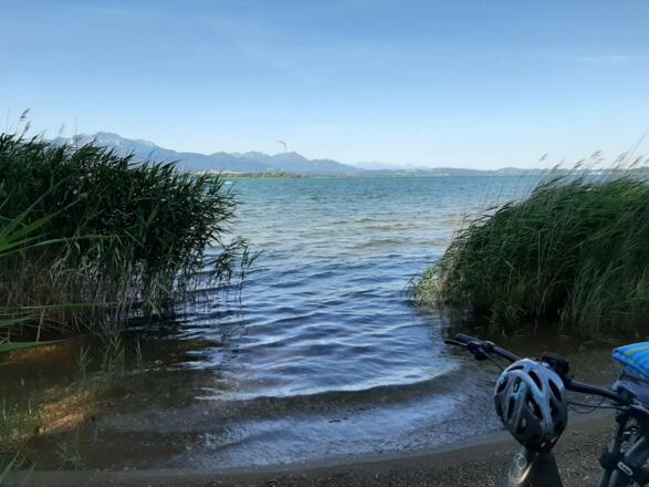 An der Feldwieser Bucht