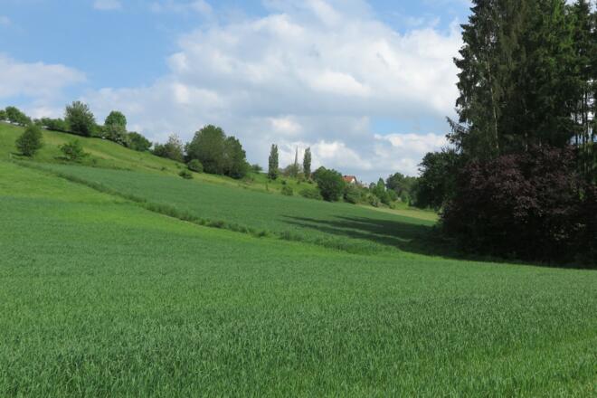Wiesen und Wälder entlang des Weges