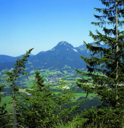 Blick von den Hängen des Aurachköpfls zum Breitenstein