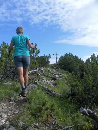 Kamm zur Heißenplatte