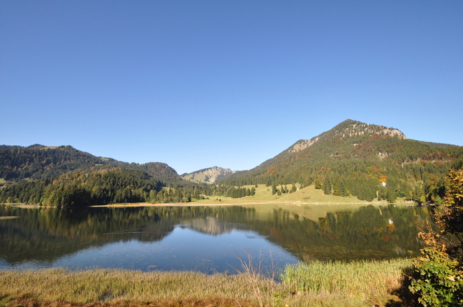 Herbstimpressionen am nahegelegenen Spitzingsee