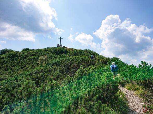 Kurz vor dem Jägerkamp-Gipfel