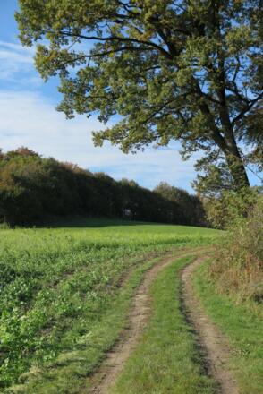 Auf dem Weg zur Burgruine Kling