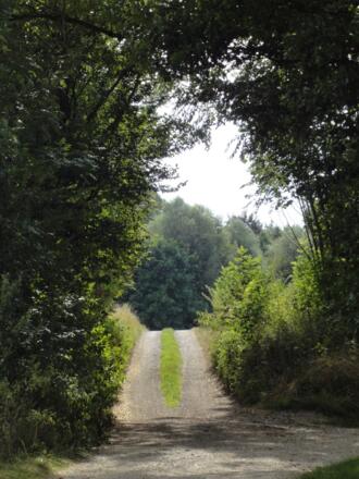 Singlding nach Westen