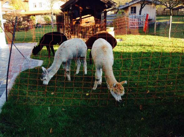 Fischbachau gegenüber Klosterstüberl