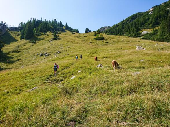 Abstieg vom Aiplspitz