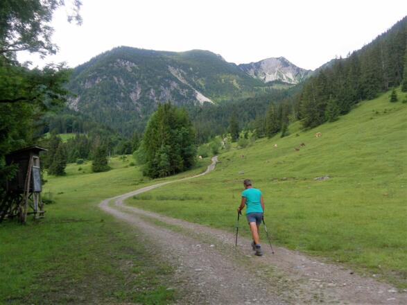 Aiplspitz von Geitau