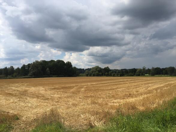 Landwirtschaftliche Gegend nach Wörth