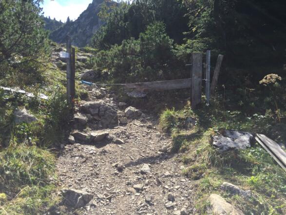 Weidegrenze am Beginn des Kessels