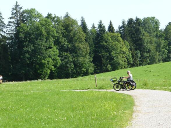 Am Höhenweg kurz vor Holz