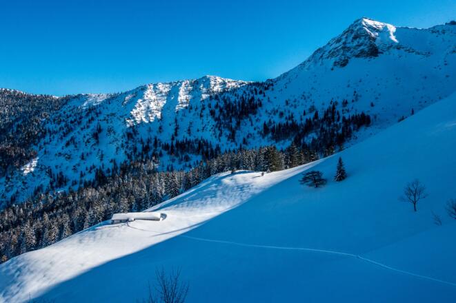 Benzingalm und Aiplspitze