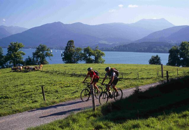 Mountainbiker bei Kaltenbrunn