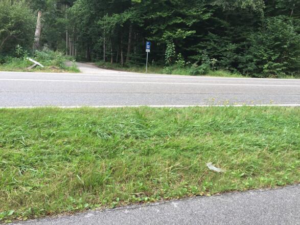 Vom Ebersberger Fort über die Staatsstraße zum Radweg nach Ebersberg