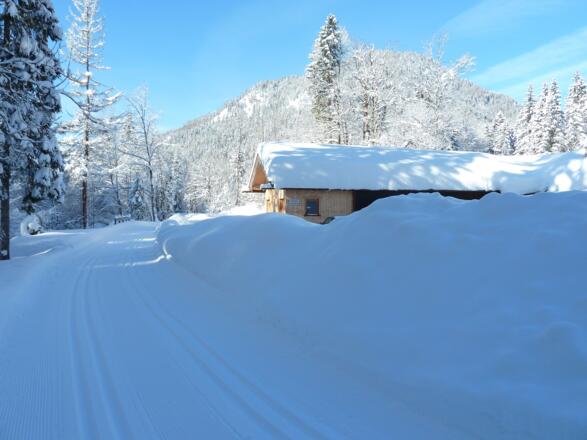 Loipe Klamm-Bayerwald-Glashütte