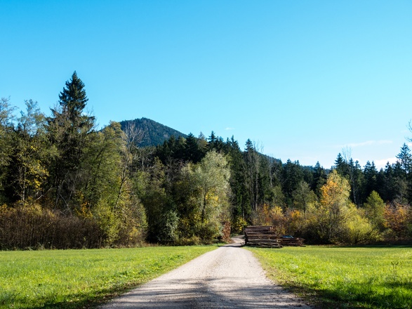 Der Weg zum Zinnkopf.