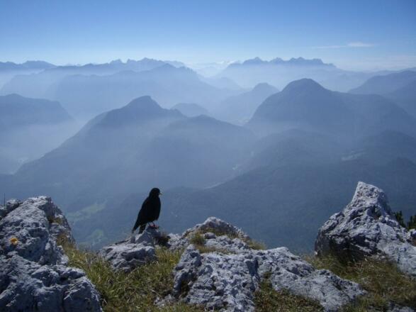 Ausblick vom Hochstaufen
