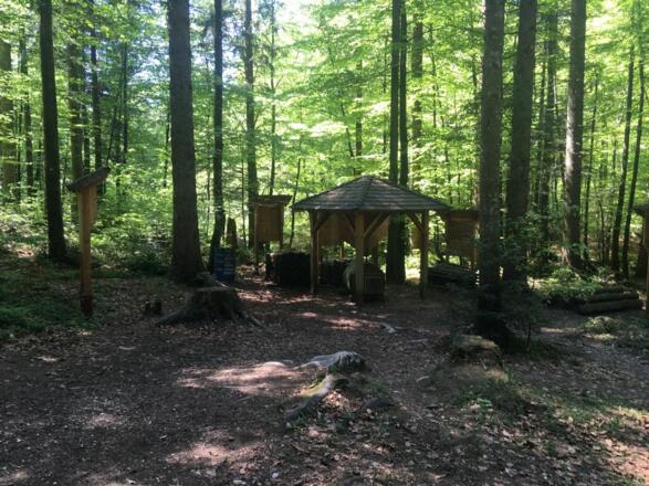 Wanderweg Frillensee