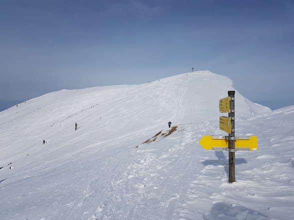 Nur noch ein kurzes Stück zum Zwiesel