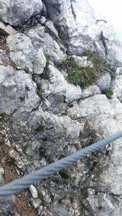 gut Versicherter Steig