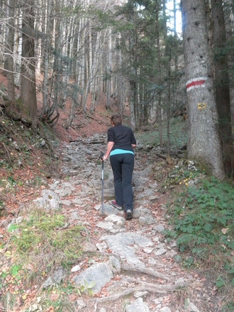 Abzweig zur Kohleralm