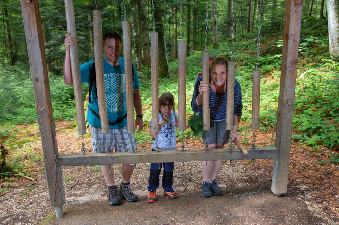 Bergwald-Erlebnispfad: Mit dem &quot;Dendrofon&quot; seine Melodie erklingen lassen