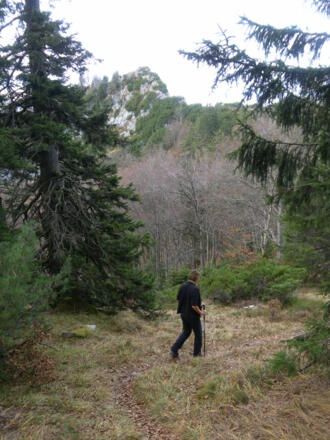 Gruberhörndl vom NO-Rücken