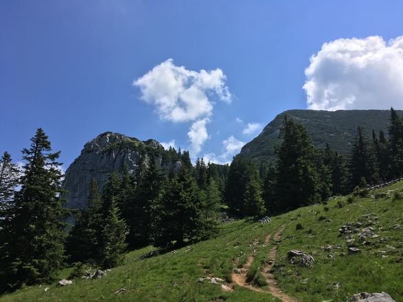 Donnerstag, 15. Juni 2017, 16:48 Uhr