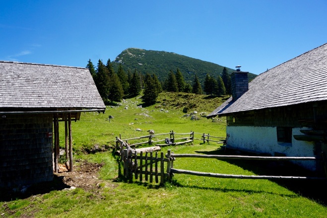 Kohleralm
