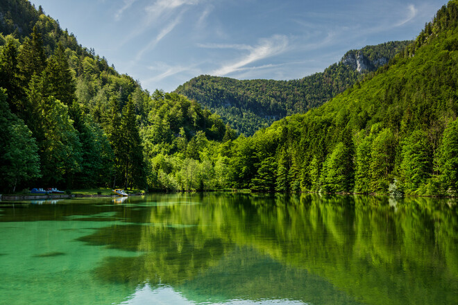 Zwingsee Inzell Natur