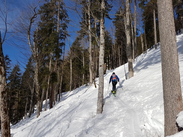 Steile Waldpassagen bei leicht über 30°