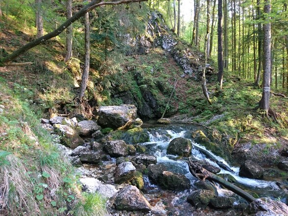 die Weißbachquelle (Wasserloch)