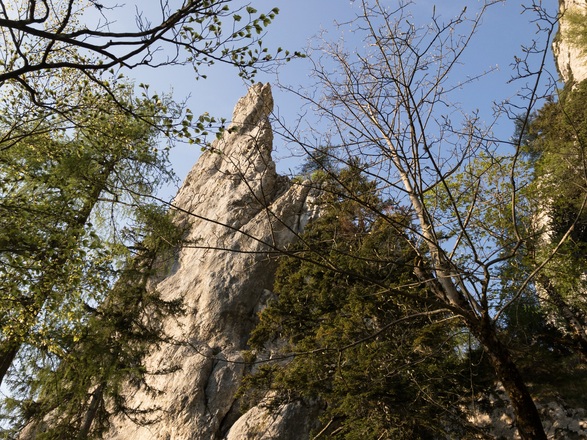 der Große Turm ist durch die Bäume zu erkennen
