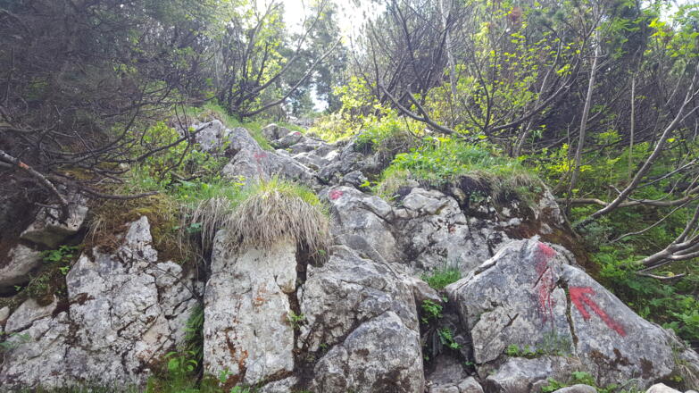 Der Weg zur Freudenreichkapelle