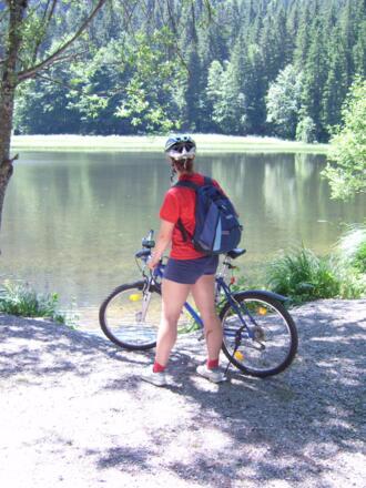 Ein Blick auf den Suttensee