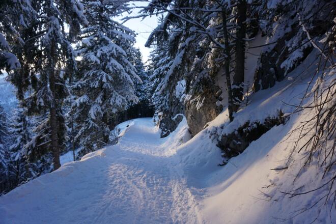 Am späten Nachmittag auf der Rodelpiste