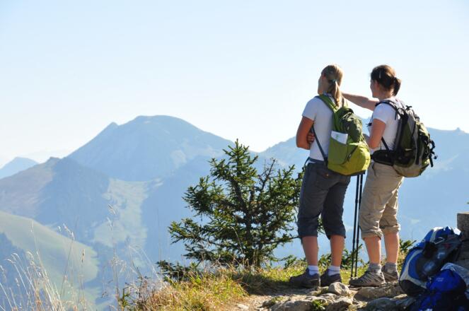 Blick vom Bodenscheid zur Rotwand - hier können sie ihre Tour noch mal schön entspannt Revue passieren lassen, bevor es bergab zum Tegernsee geht