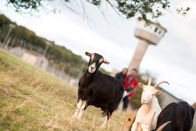 Ehemaliges Militärgelände