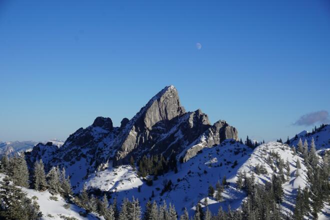Blick auf die Ruchenköpfe (mittlerer Gipfel 1805 m)