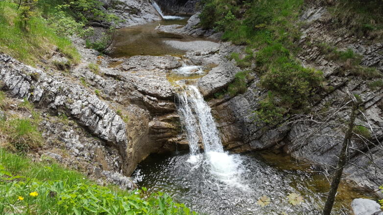 Die zahlreichen kleinen Wasserfälle im Pfanngraben